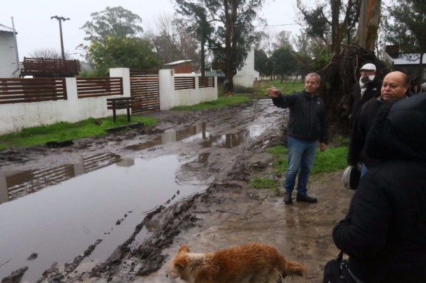 Marcelo Artime en Jardin de Stella Maris I